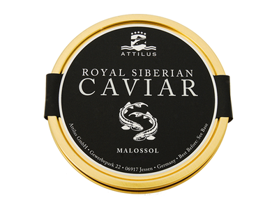 Attilus Siberian Caviar (baerii)